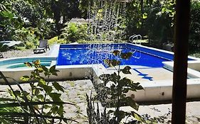 TierraViva